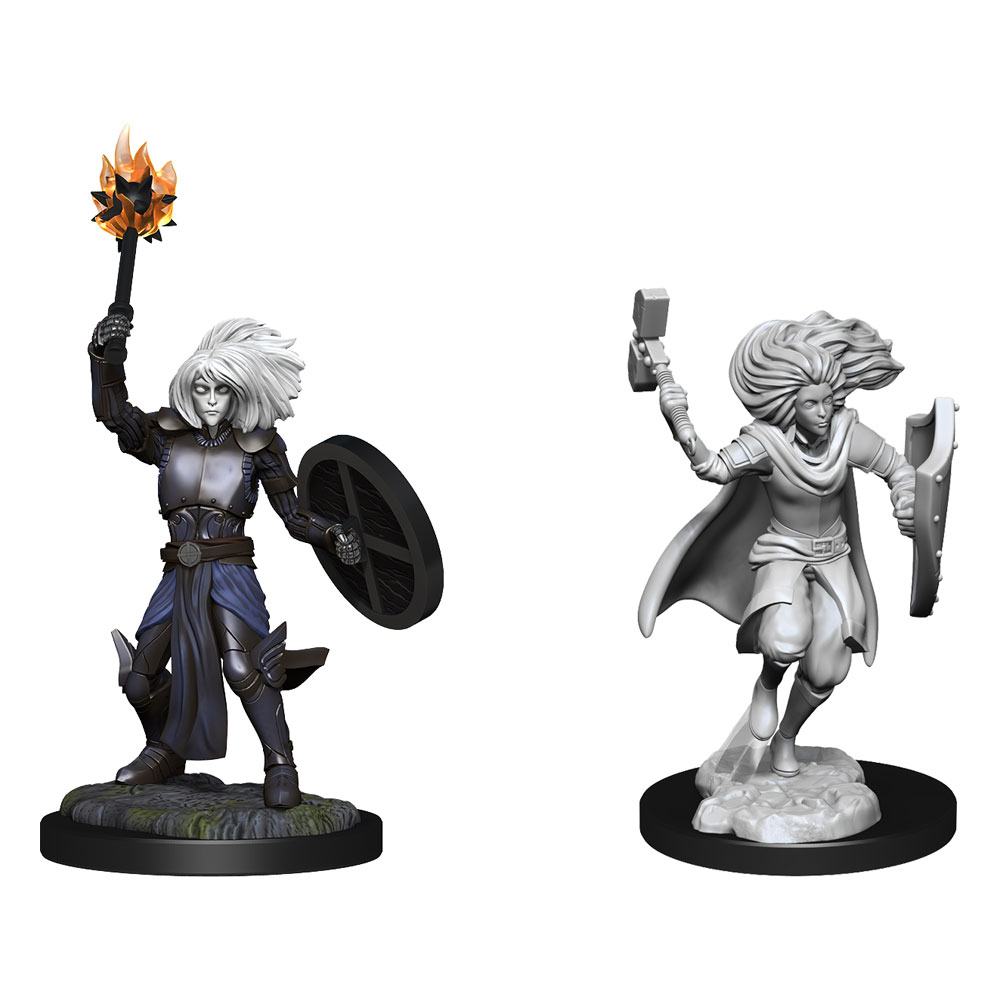 D&D Nolzur's Marvellous Miniatures - Changeling Cleric
