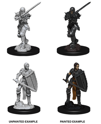 D&D Nolzur's Marvellous Miniatures Female Human Fighter
