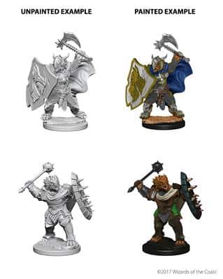 D&D Nolzur's Marvellous Miniatures Dragonborn Male Paladin